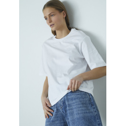 SP-HEDA LOOSE, Lemons