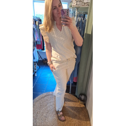 IRIS Stribet buks, Tiffany