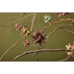 Glimmer stjerne Brun, Medusa 